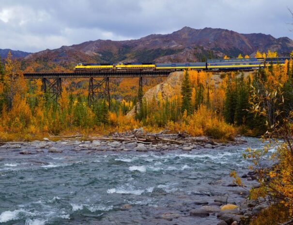 Denali-Star-Train-Roger-Bath-1